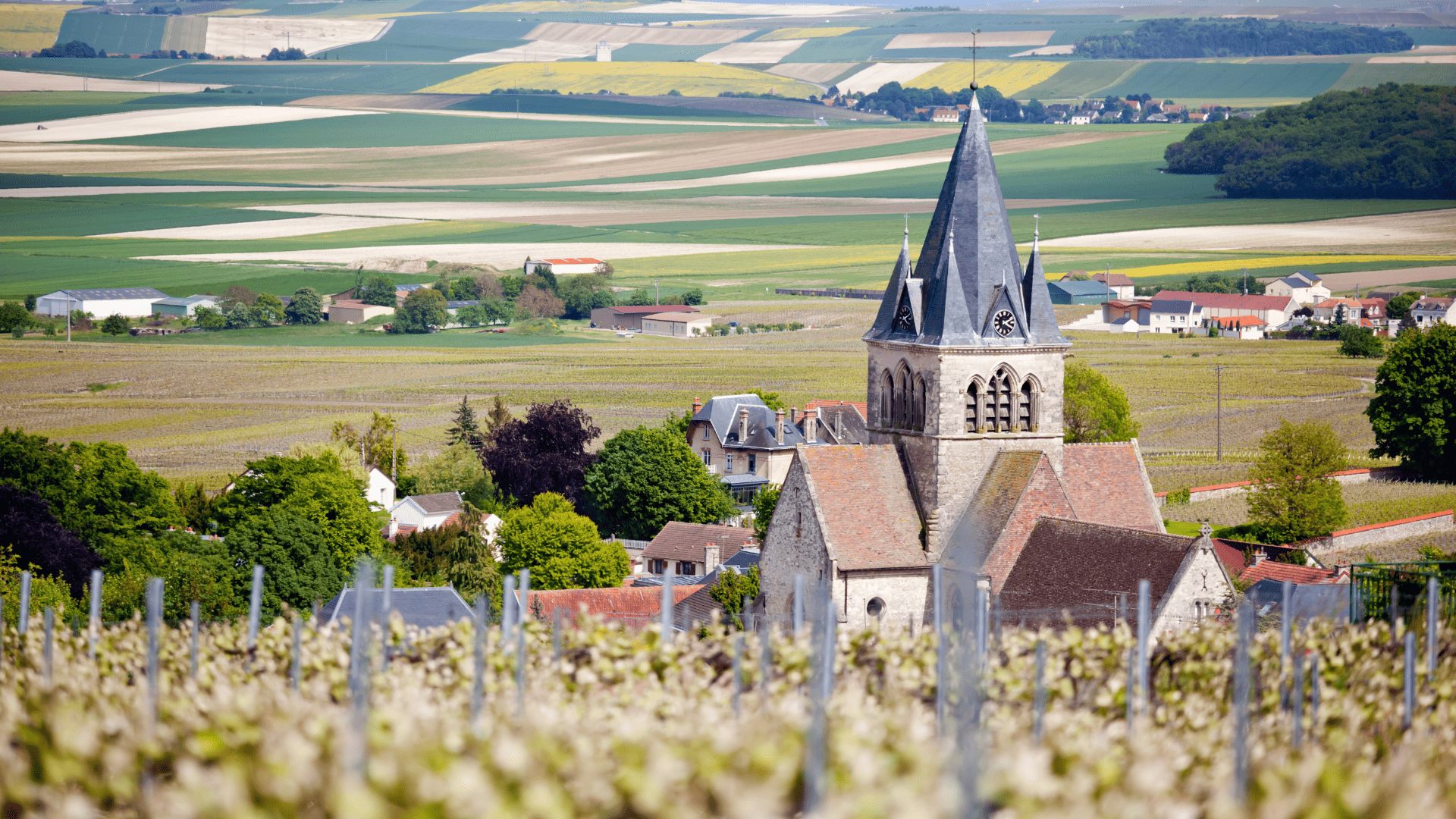 <small>O que fazer na </small>Região de Champagne em 1 dia
