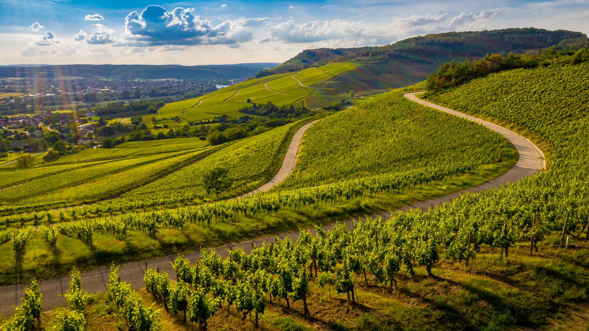 <small>Borgonha França: </small>Vinhos, Gastronomia e Passeios Inesquecíveis