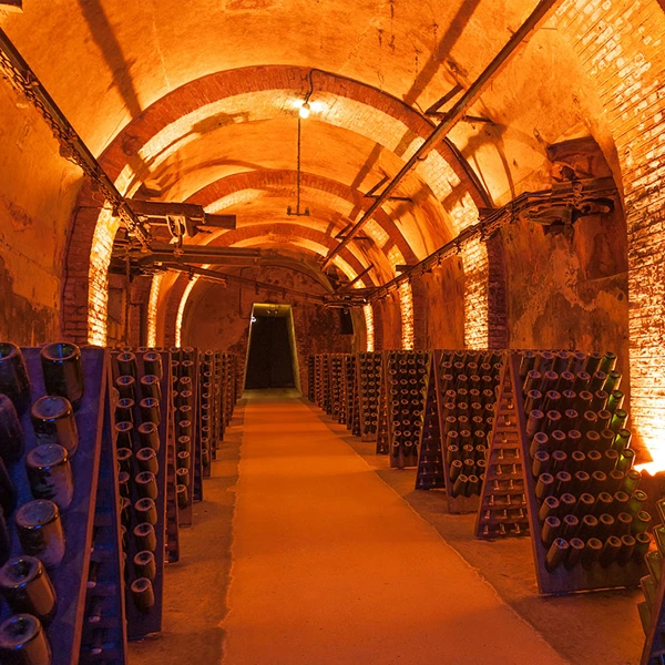 EXPERIÊNCIAS ÚNICAS